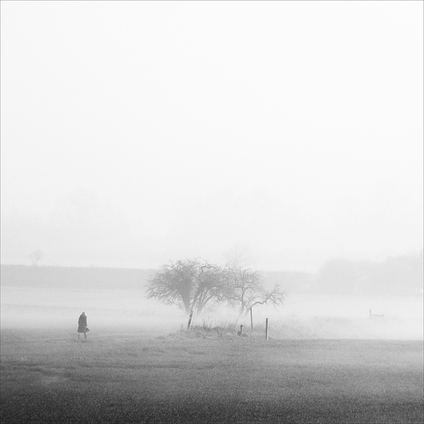 Dedham Vale Mist - 2 by David Kelly.jpg